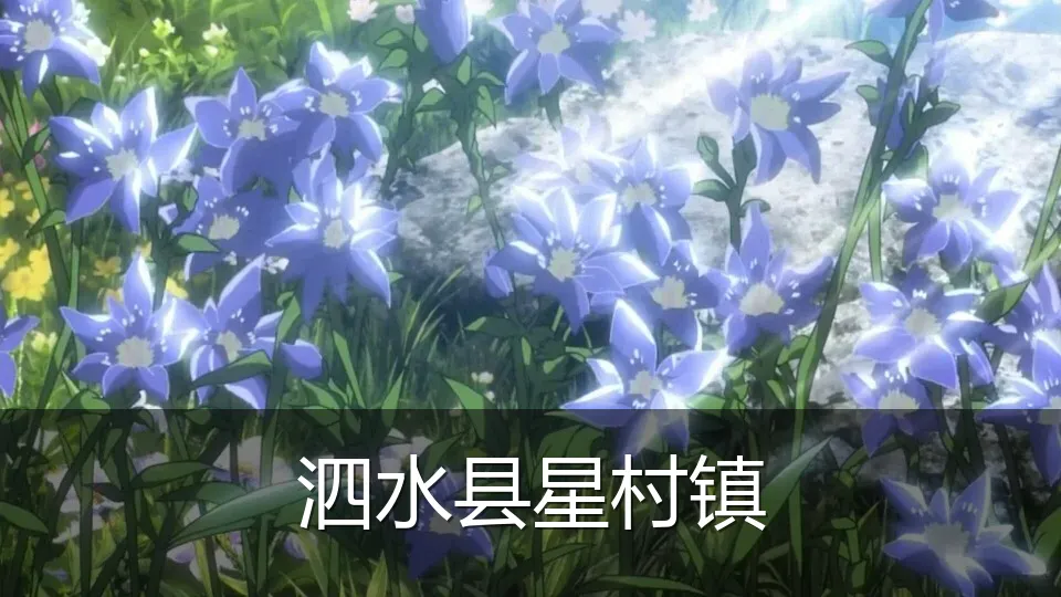 泗水县星村镇